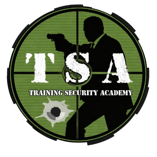 AULA VIRTUAL - TSA